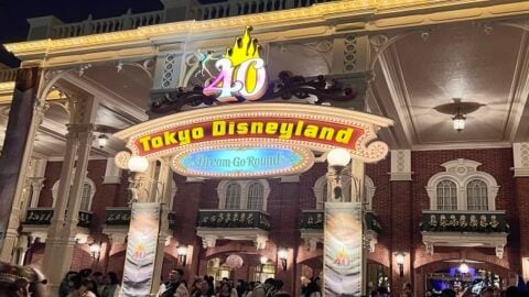 A First Timer’s Guide to Tokyo Disneyland
