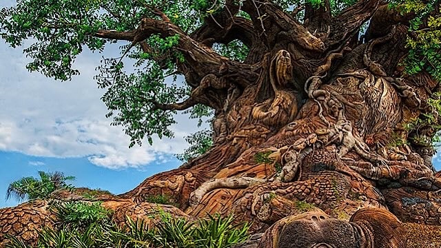 Popular Disney's Animal Kingdom attraction closed now!