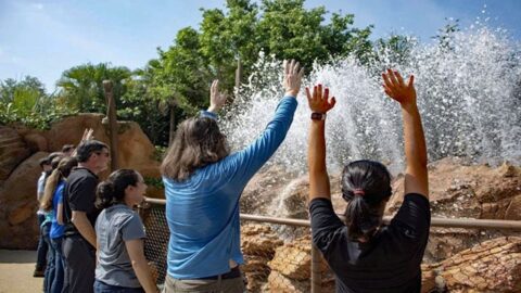 EPCOT’s Journey of Water Previews are Happening Soon