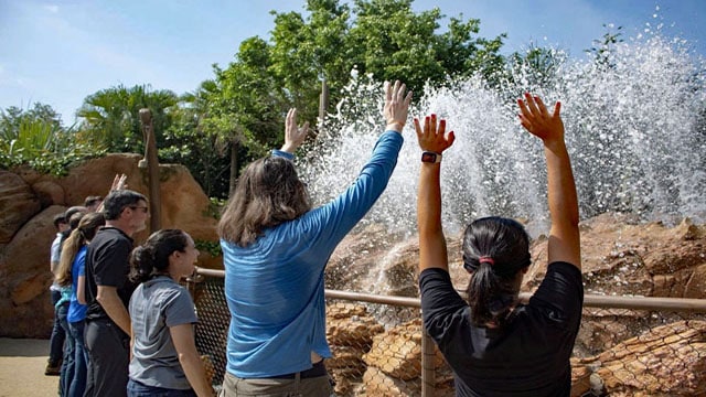 EPCOT's Journey of Water Previews are Happening Soon