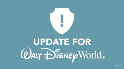 Breaking: First Closures Announced at Disney World for Hurricane Idalia