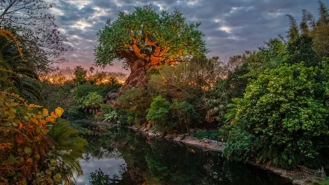 Disney World has now added Animal Kingdom to the Extended Evening Hours lineup