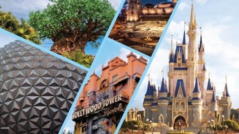 Great News for Disney World’s Park Passes Happening Now