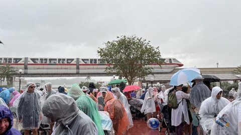 Here is what you need to know if you are canceling your Disney vacation for Idalia