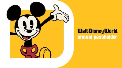 Disney World Annual Passholders: enjoy a BIG discount with this special merchandise event