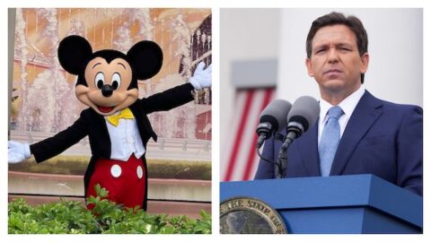 Does Disney’s New Survey Take Aim Against DeSantis?