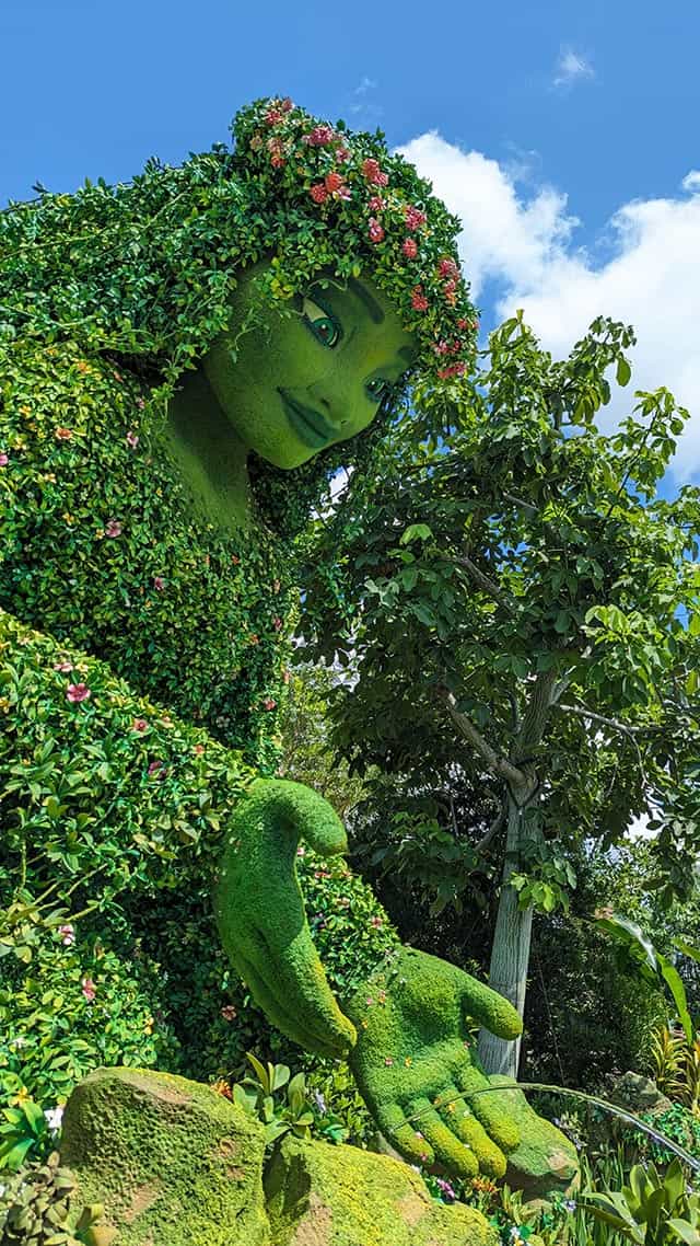 Epcot Journey of Water Lake Vertical TE FITI 5