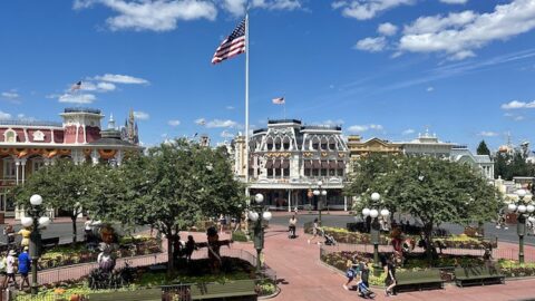 Magic Kingdom extends hours for one day only