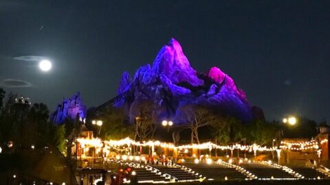 New Details Released for Animal Kingdom’s Extended Evening Hours