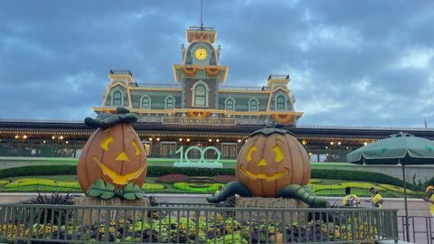 The Best Disney Snack If You Love A Sweet and Savory Treat