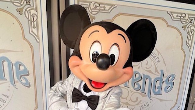 You May Be Waiting Longer To Meet Mickey Mouse