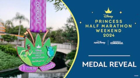 RunDisney Reveals Some Amazing New Medals!