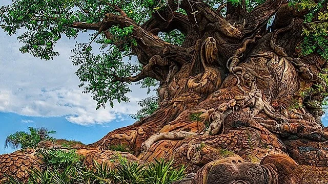 Disney's Animal Kingdom gets even better with these amazing additions