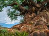 Meet These Popular Characters We Have Missed at Disney’s Animal Kingdom Now Meet These Popular Characters We Have Missed at Disney's Animal Kingdom Now