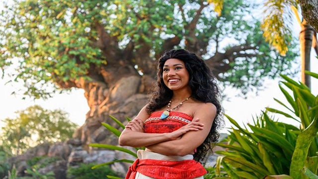 More Details revealed for Moana meet and greet