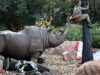 Attention: Jungle Cruise Changes This Month at Disney World Attention: Jungle Cruise Changes This Month at Disney World