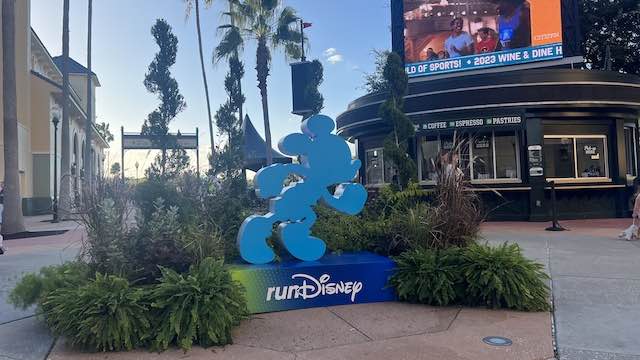 Complete Guide to runDisney: Part 2 Expo and Race Day