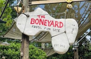 Disney Comments on New Land at Animal Kingdom