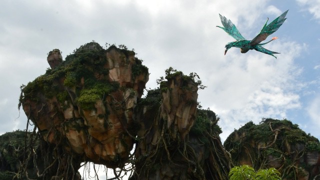 Disney Reveals the Location for the New Avatar Experience