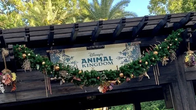 Holiday Entertainment Schedule and More for Disney's Animal Kingdom
