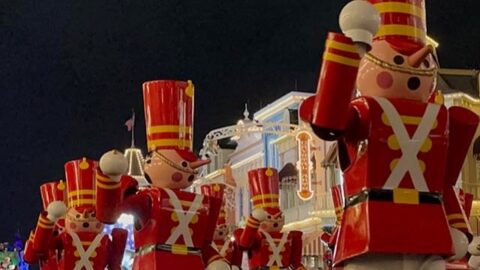 Rare Surprise Characters Meeting  at Disney’s Christmas Party Now!
