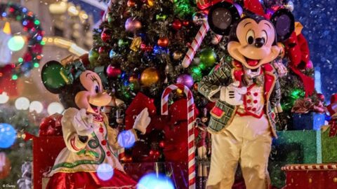 See How Magic Kingdom Lights up the Night Sky