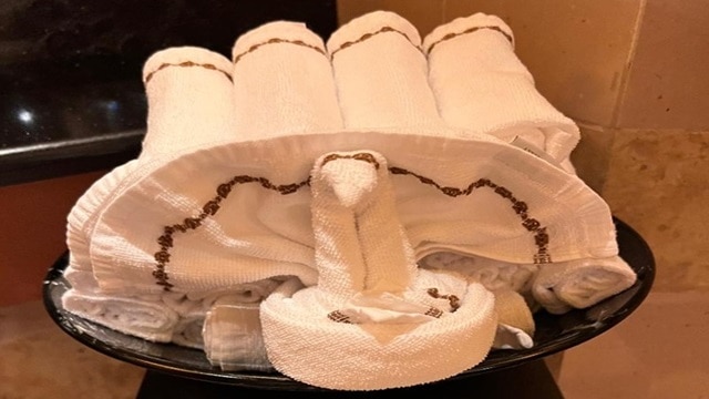 What is it Like Sailing Thanksgiving Day on Disney Cruise Line?