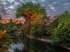 Add More Magic to Your Animal Kingdom Evening Hours