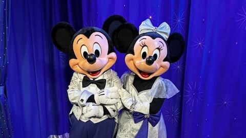 Disney Offers Significant Discount For a Limited Time