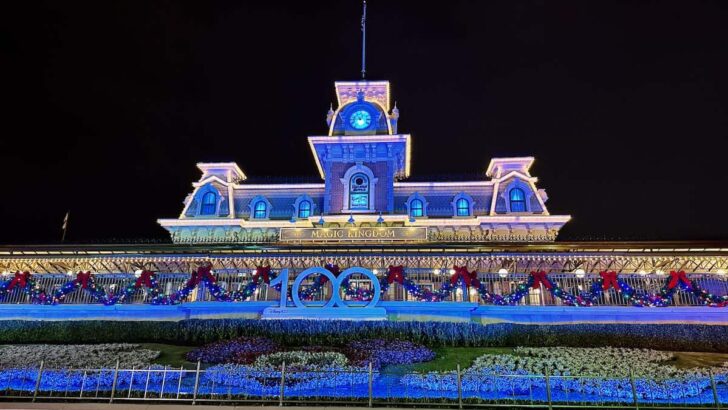 Man Reportedly Punches a Cast Member Outside the Magic Kingdom