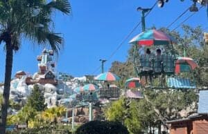 Ten Reasons You Need To Visit Blizzard Beach