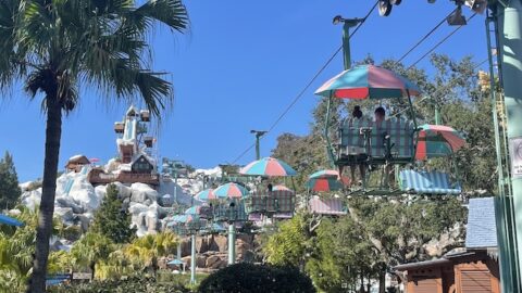 Ten Reasons You Need To Visit Blizzard Beach