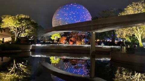 You Will Not Believe What We Spotted at EPCOT