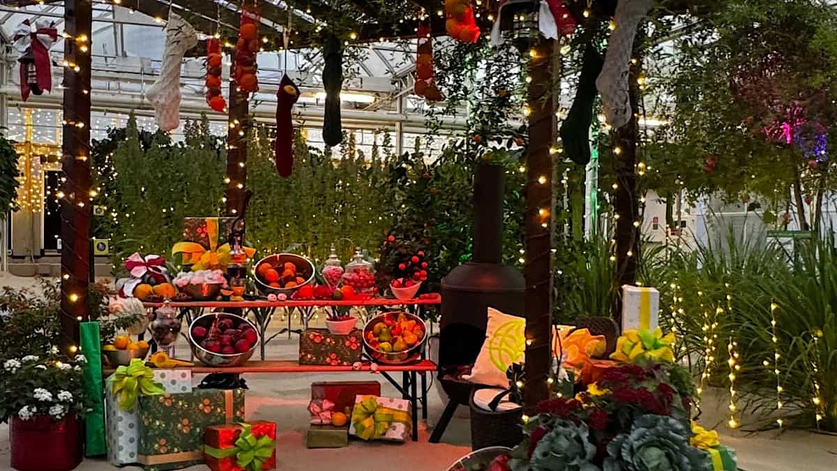 2024 EPCOT Holiday Entertainment and Candlelight Processional Details