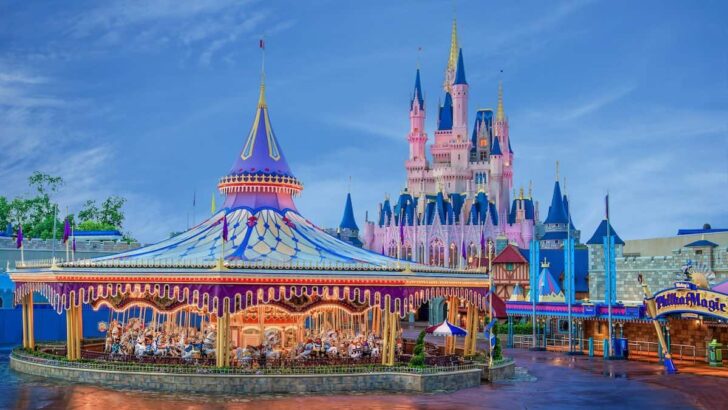 One Special Secret Returns to the Magic Kingdom