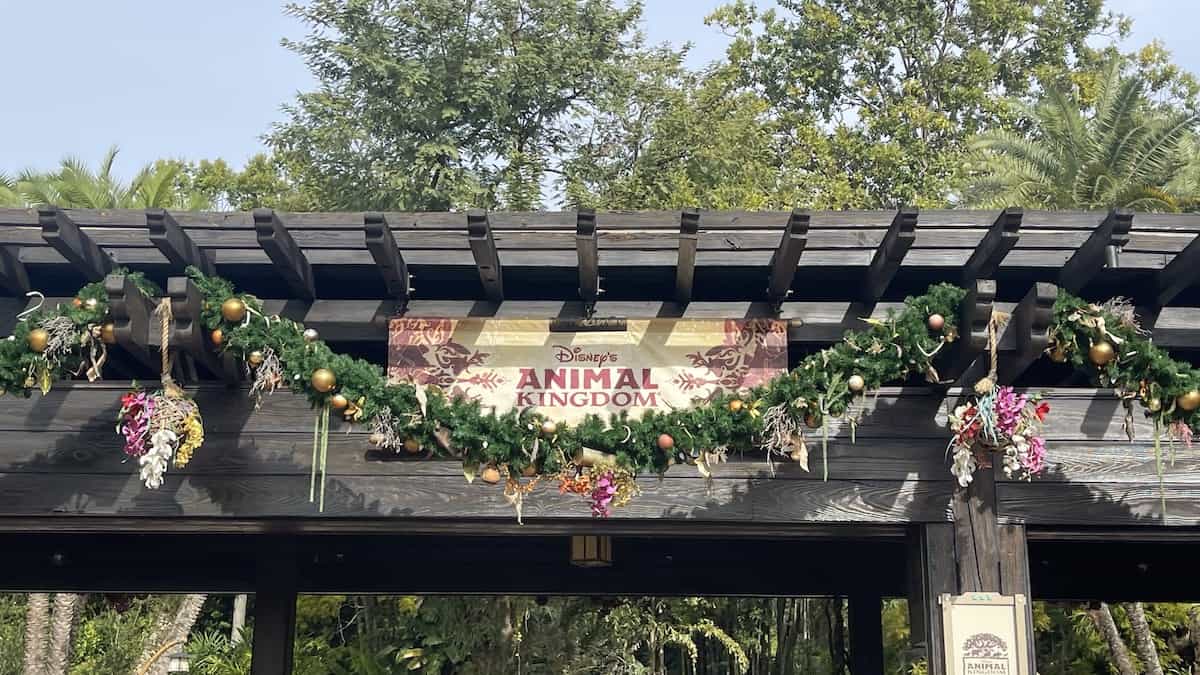 Animal Kingdom Guests Just Got the Best Surprise Ever