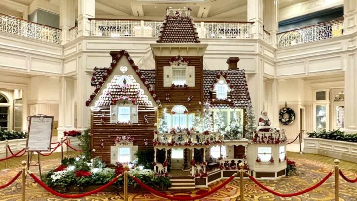 See the Gingerbread Come Down in Disney World