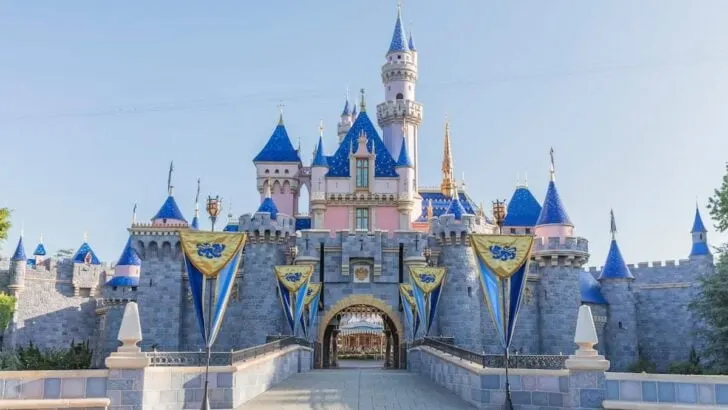 Two Disneyland Accidents Leaves One Woman Dead and Others Injured