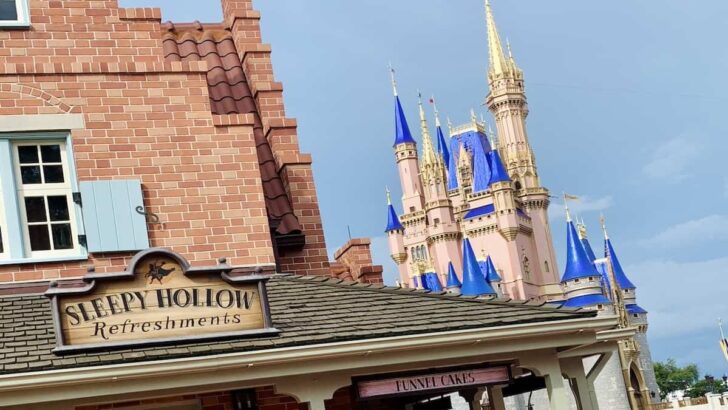 The Most Overrated Restaurants in the Magic Kingdom As Chosen By Disney Fans