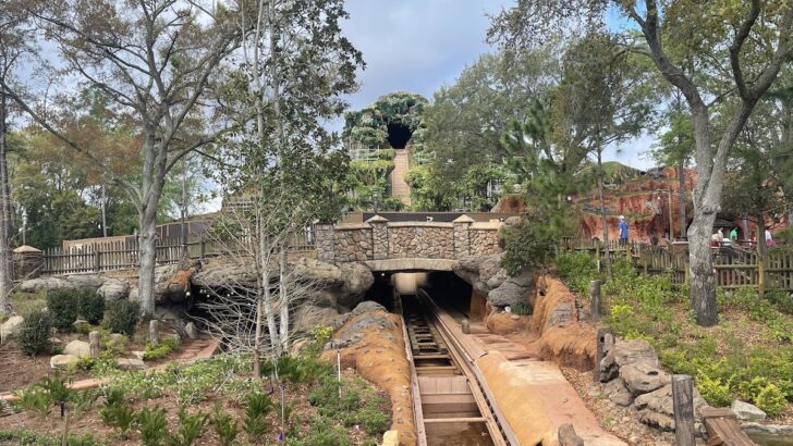 Upcoming Event Promises to Share More Details for Tiana's Bayou Adventure