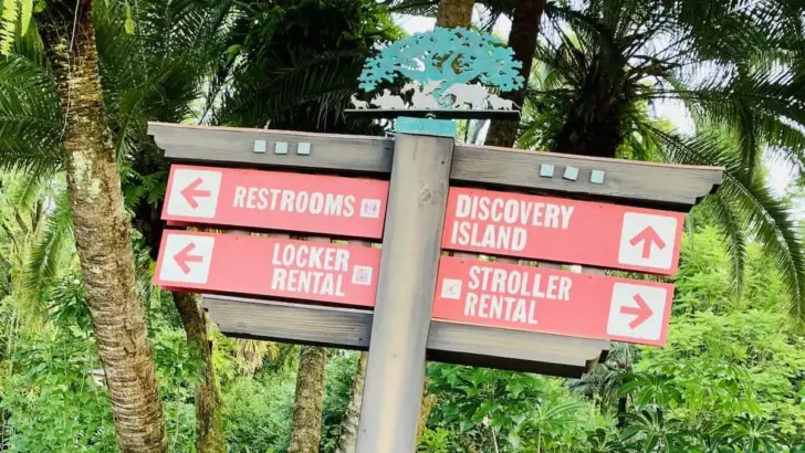 Signs Point to a Big Project at Disney's Animal Kingdom