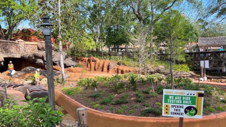 Tiana's Bayou Adventure Receives a Cool New Element for its Queue