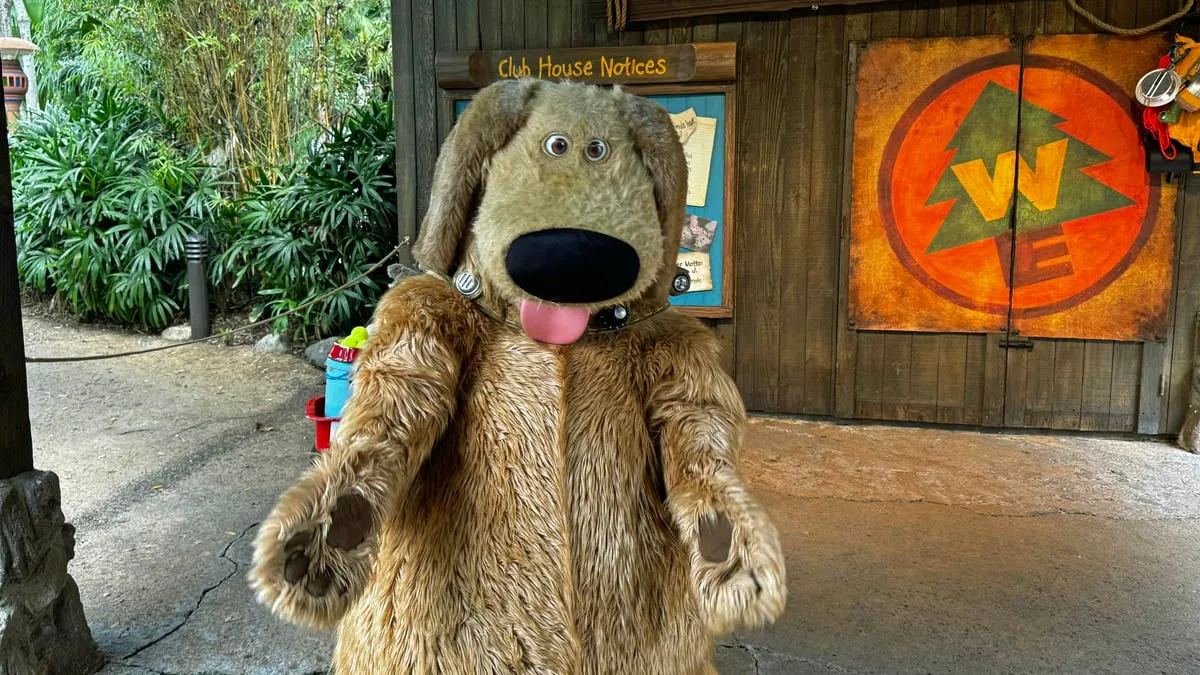 animal kingdom wilderness explorer up dug character