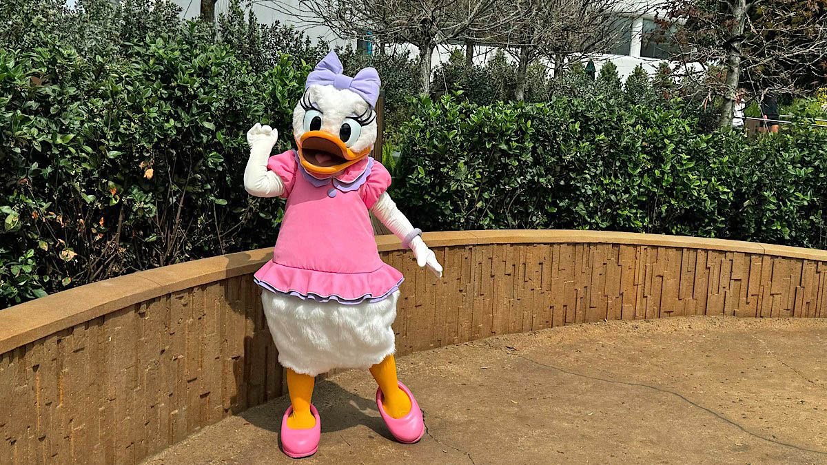 epcot daisy character feature
