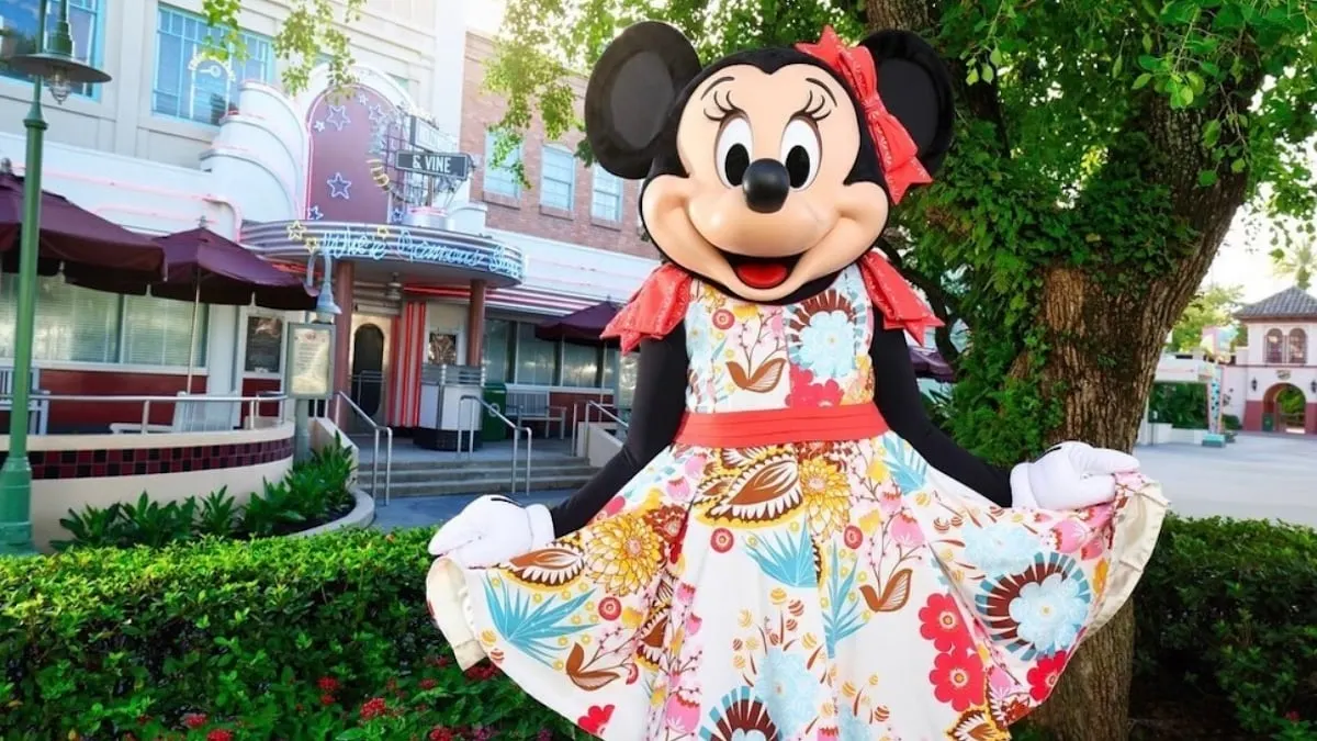 Hollywood and Vine Will Change at Hollywood Studios Soon