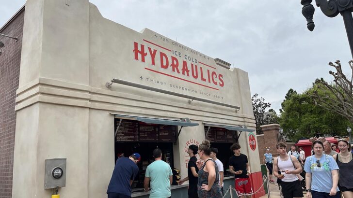 Mixed Reviews for Disney's Ice Cold Hydraulics