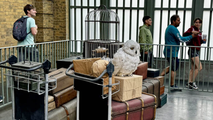 A Fan Favorite Harry Potter Attraction is Temporarily Closing