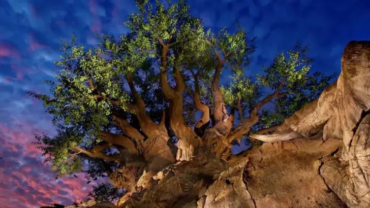 Breaking: Disney Now Confirms the Animal Kingdom Expansion