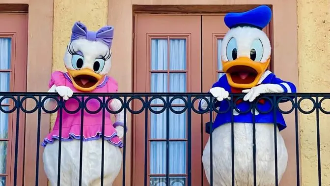 The Disney Ducks Welcome Adorable New Babies