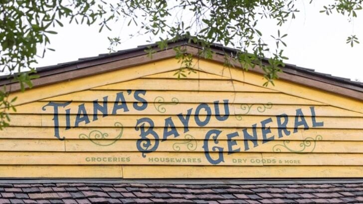 New Article Comfirms Previews for Tiana's Bayou Adventure